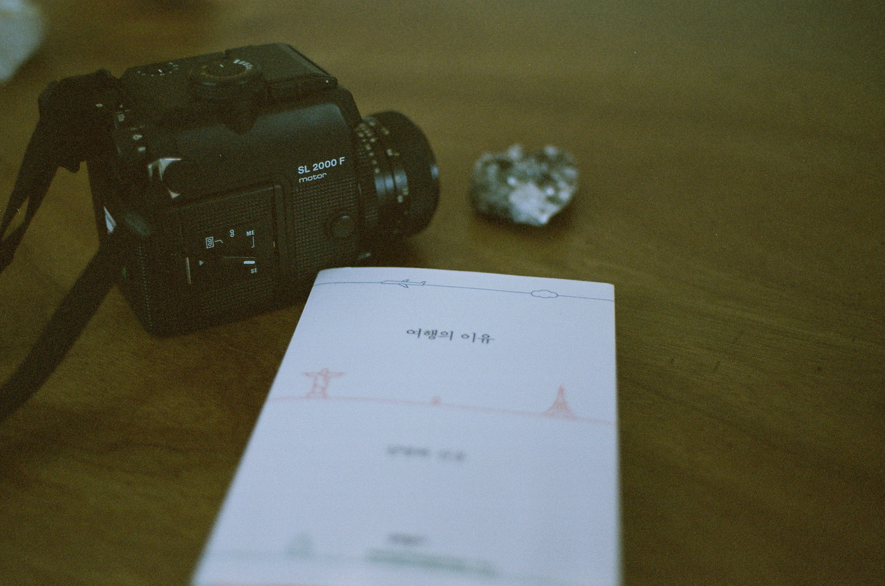 IMG_20190702_150717 사본.jpg