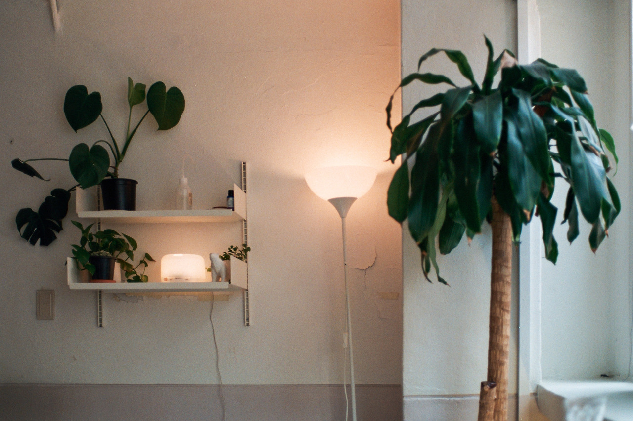 AB030 사본.jpg