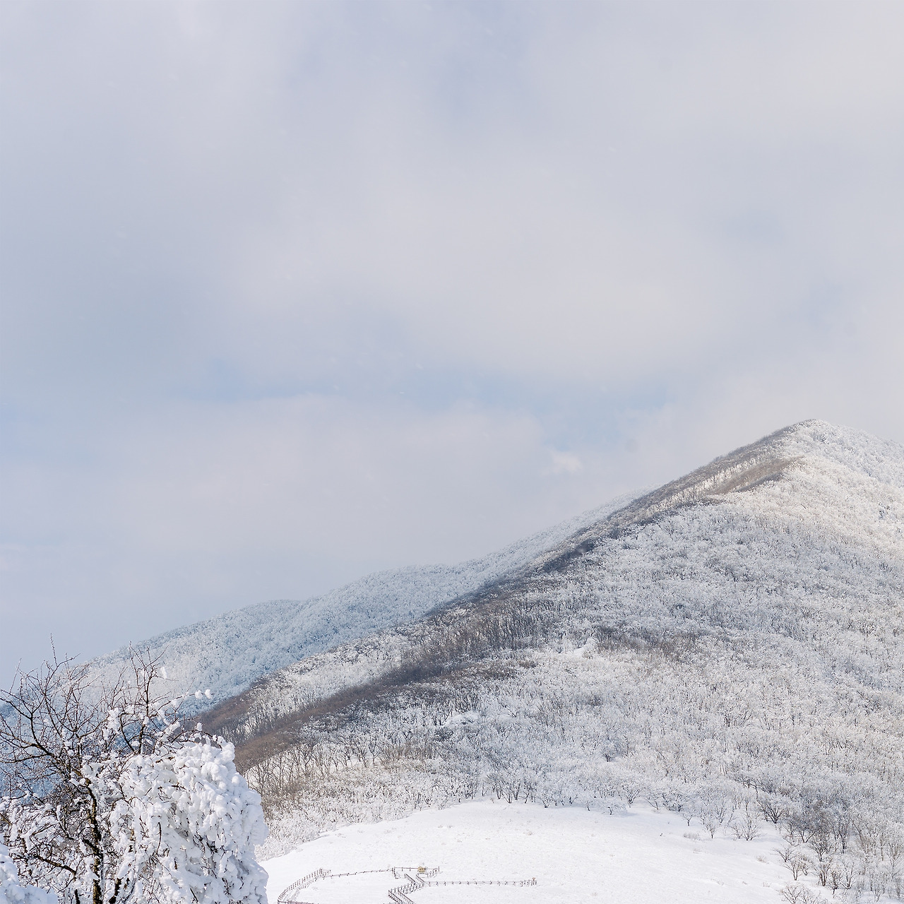 B0001215-Pano-편집 복사.jpg