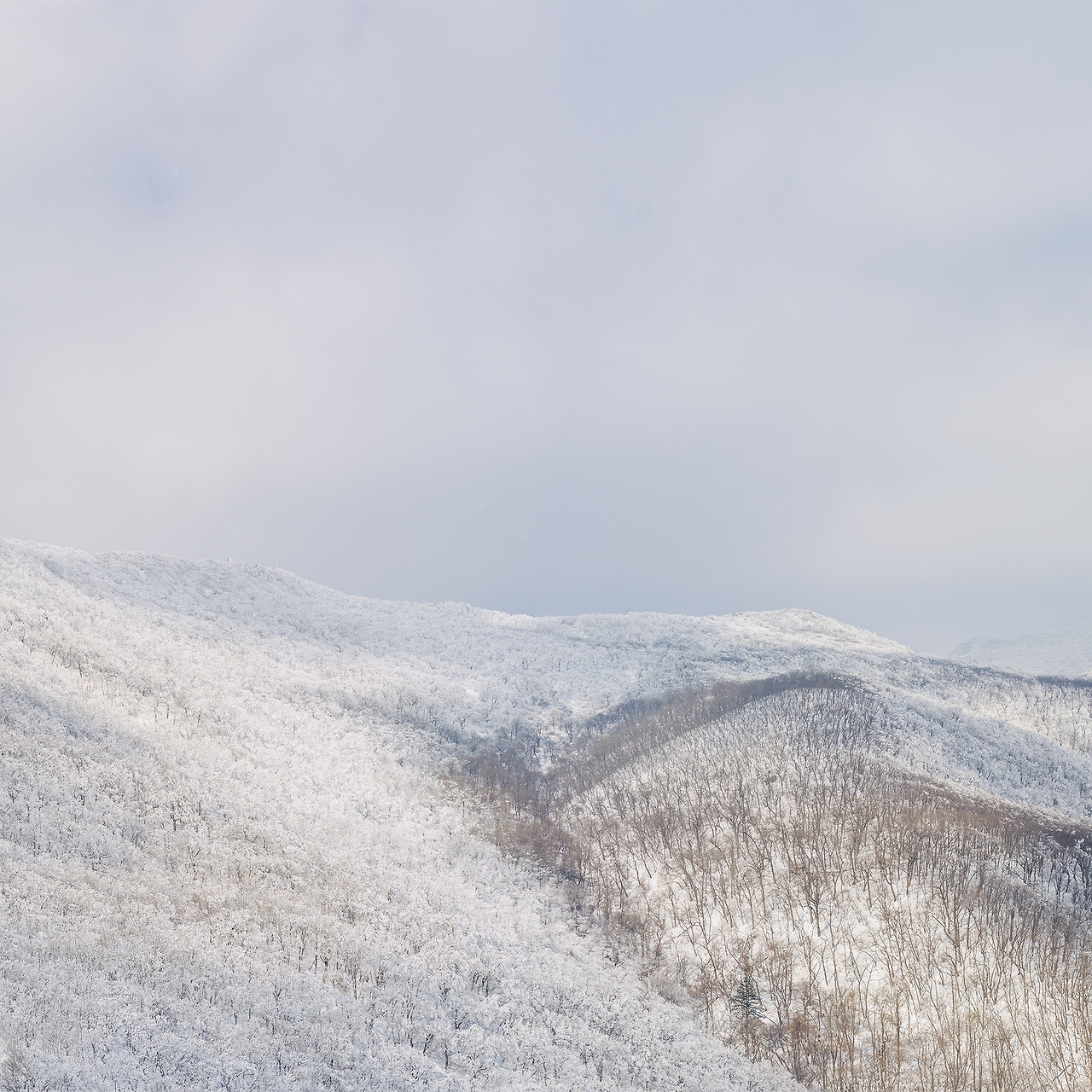 B0001215-Pano-편집 복사1.jpg