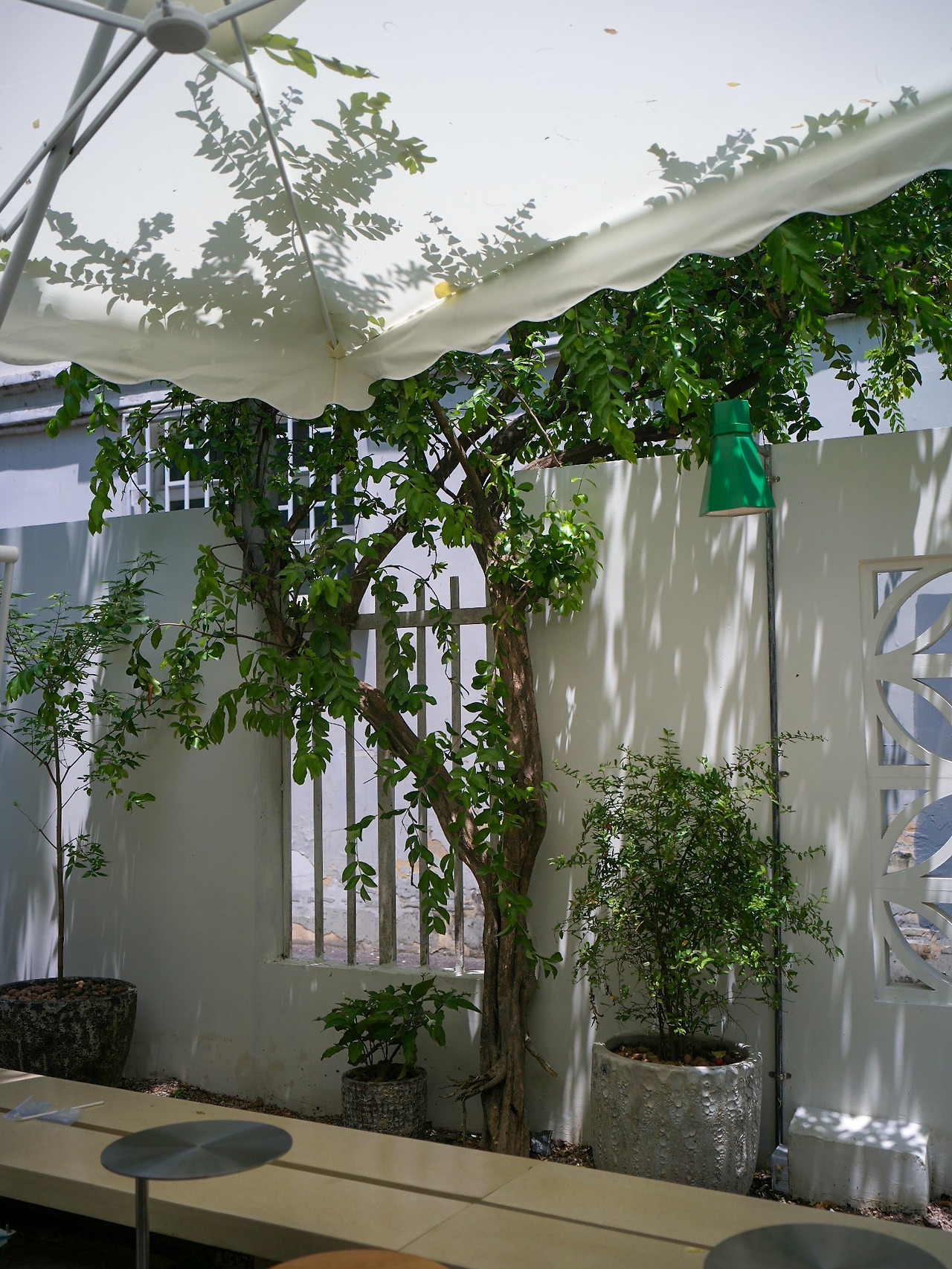 IMG_8772 복사.jpg