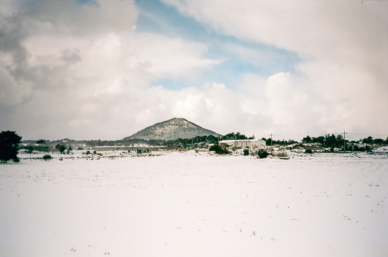 000380310016 copy.jpg