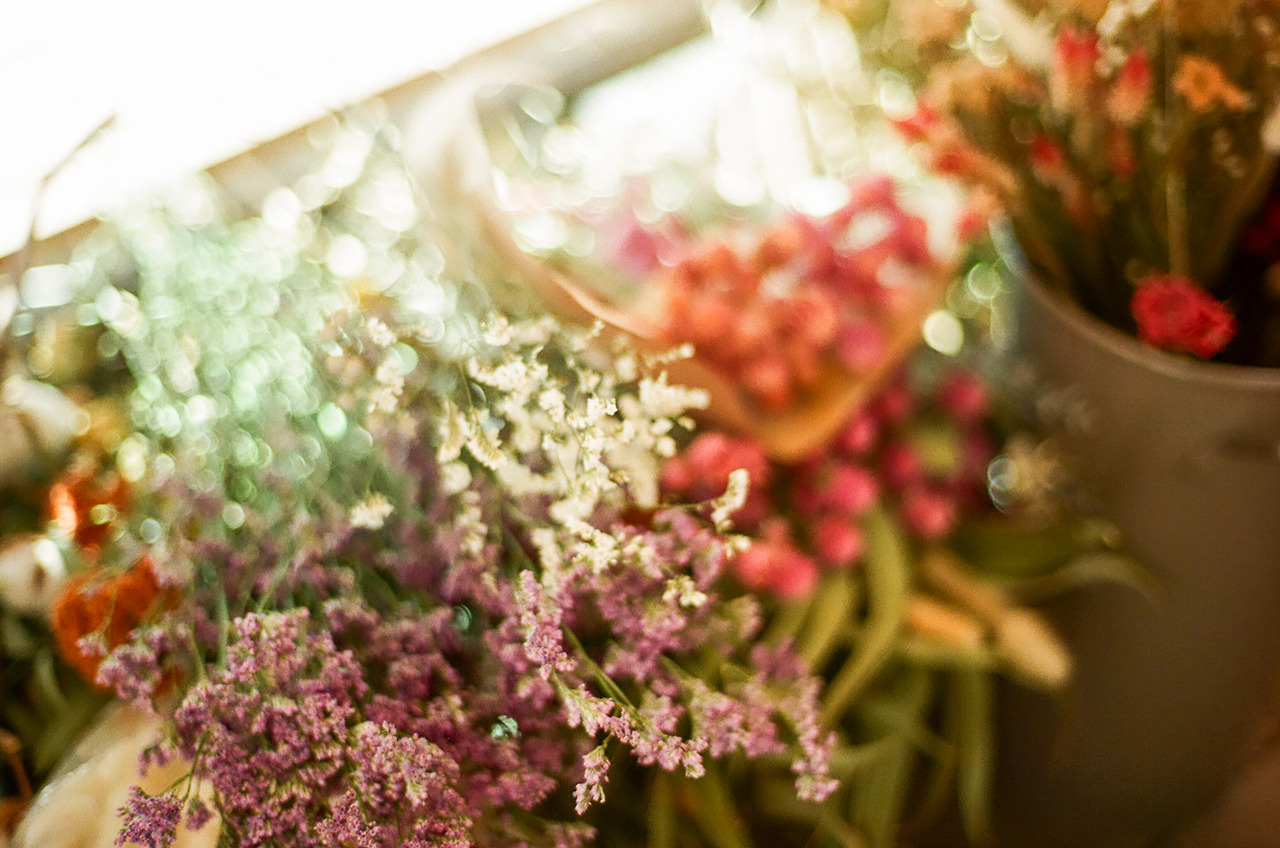 000071310020 copy.jpg