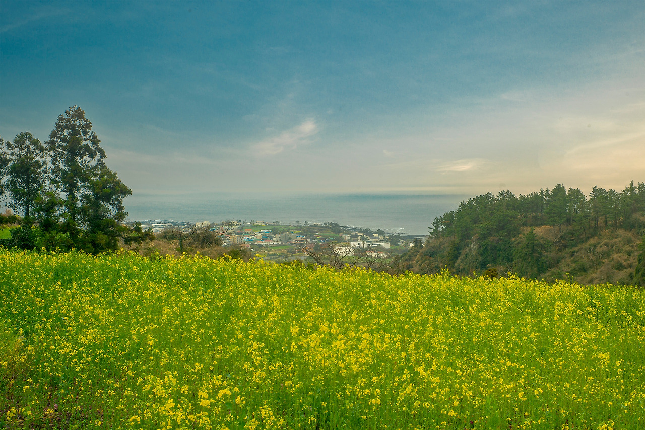 L1002183-편집 복사.jpg