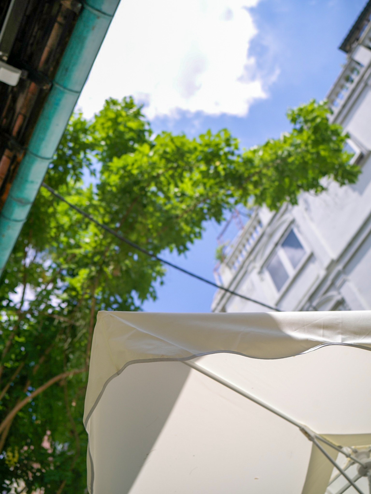 IMG_8779 복사.jpg