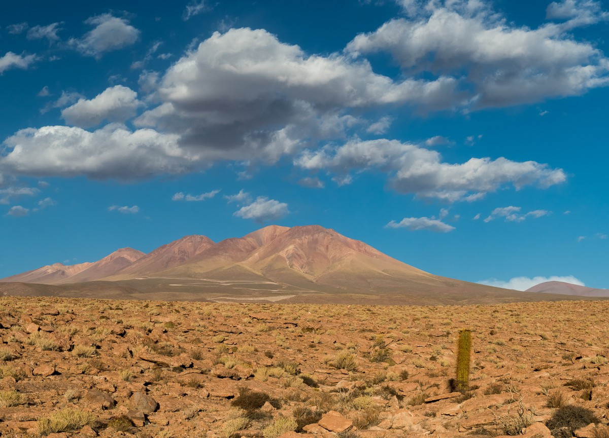 chile_cactus_stone_clouds_nikon_desert_atacama_sanpedrodeatacama-311536.jpg