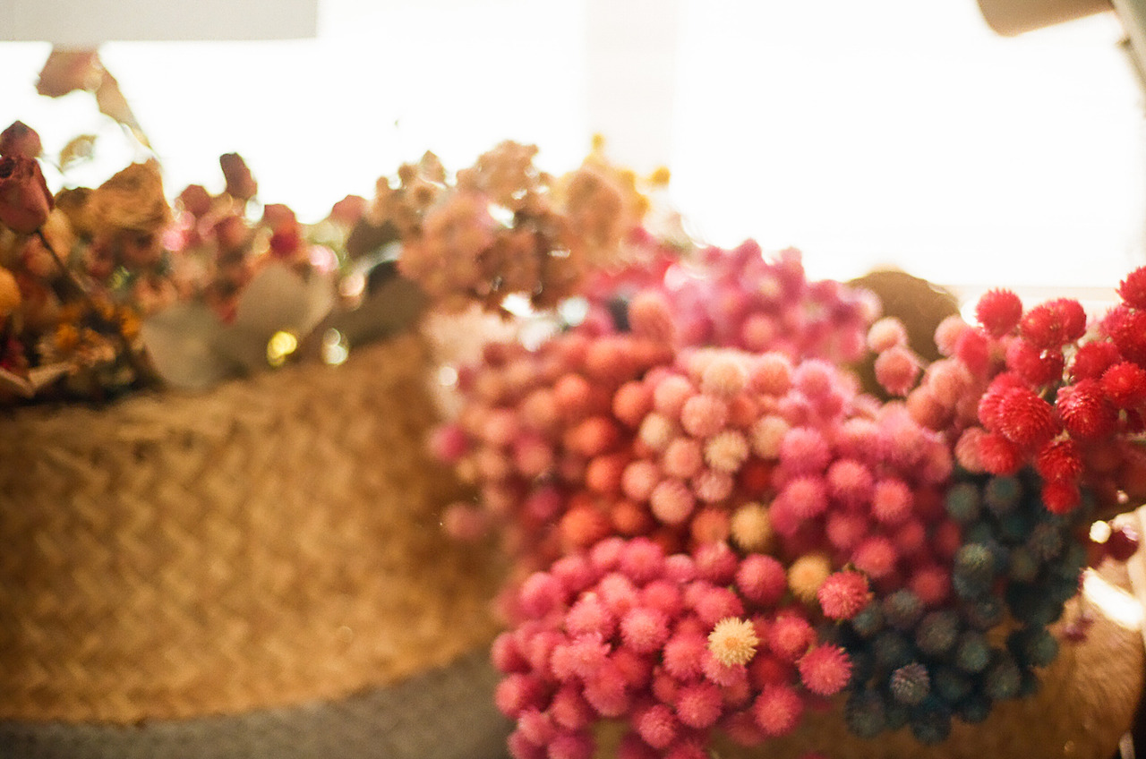 000071310021 copy.jpg