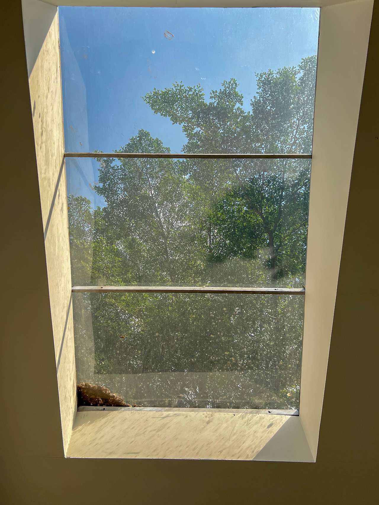 KakaoTalk_Photo_2023-01-05-20-02-56 009 복사.jpg