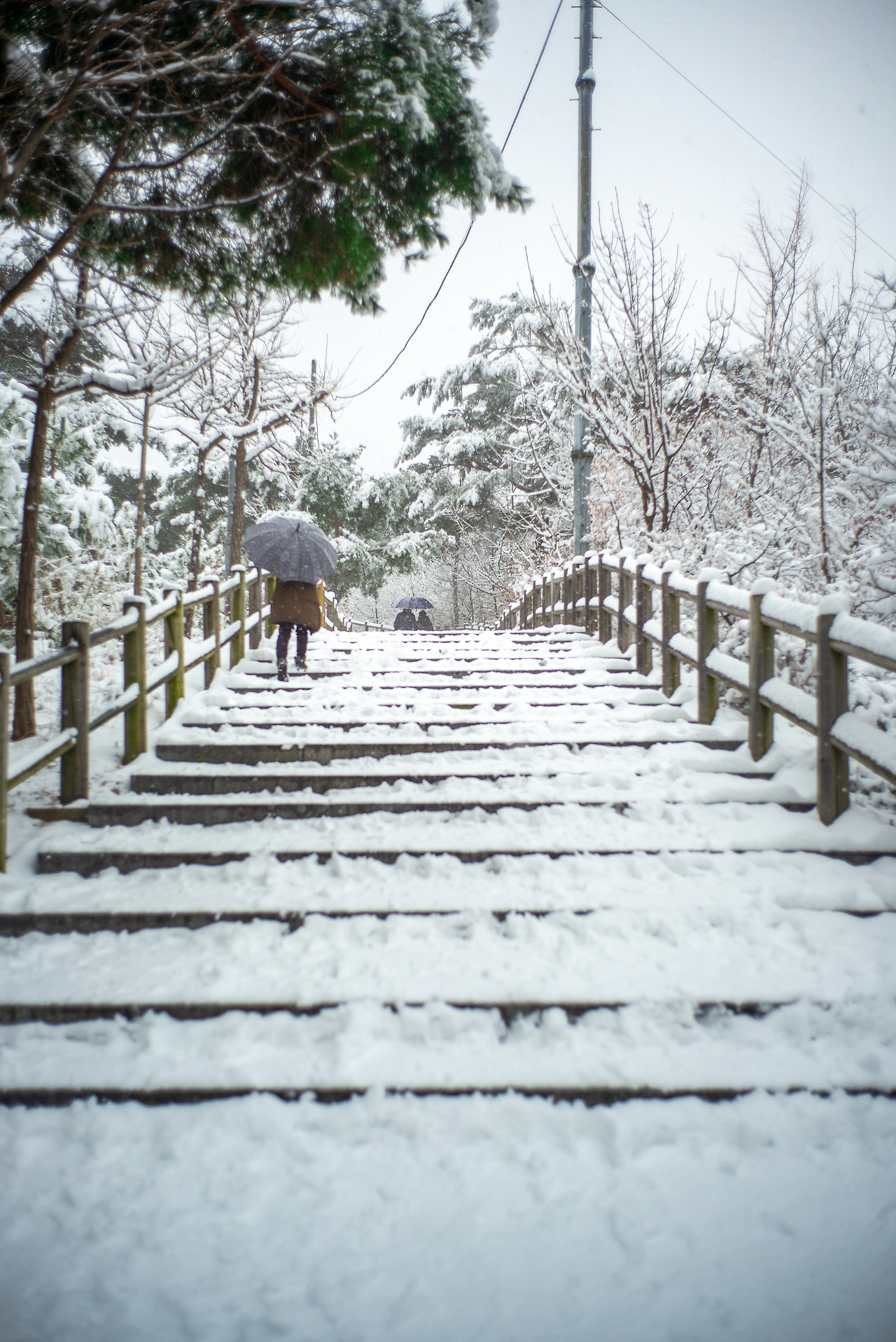 L1000100-편집 복사.jpg