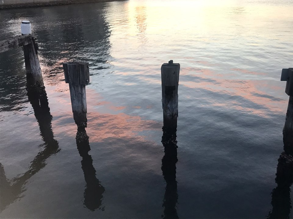 KakaoTalk_20190115_164444674.jpg