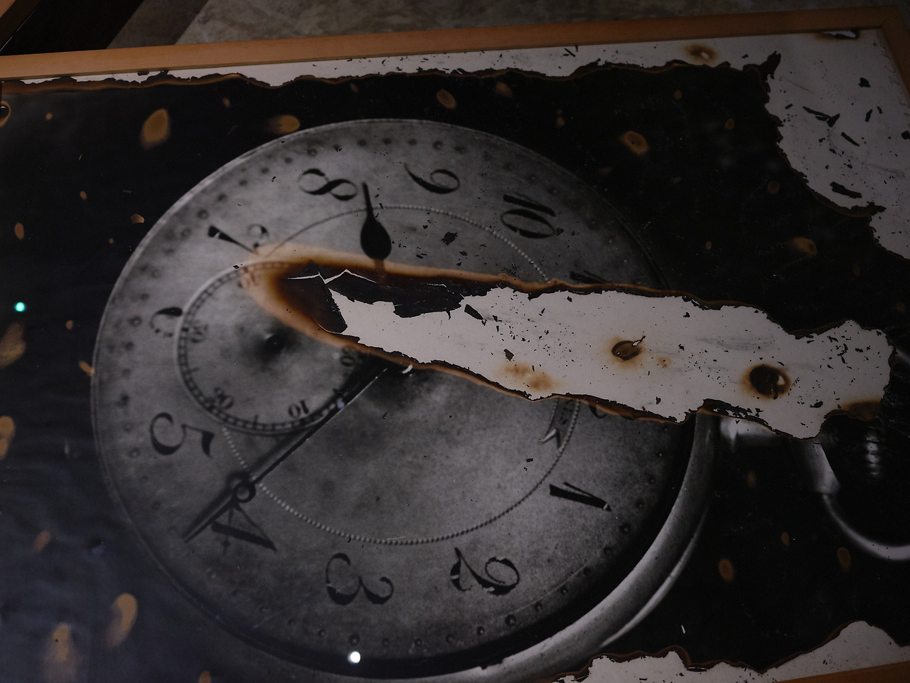 GFX 50R_2021-09-04DSCF2598.jpg