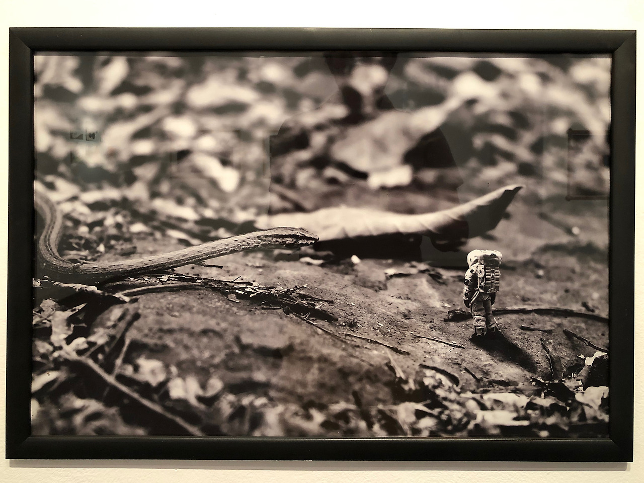 2019-03-iPhone 8 PlusIMG_1092.jpg