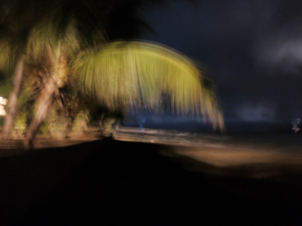 2018-10_DSF7021 1.jpg