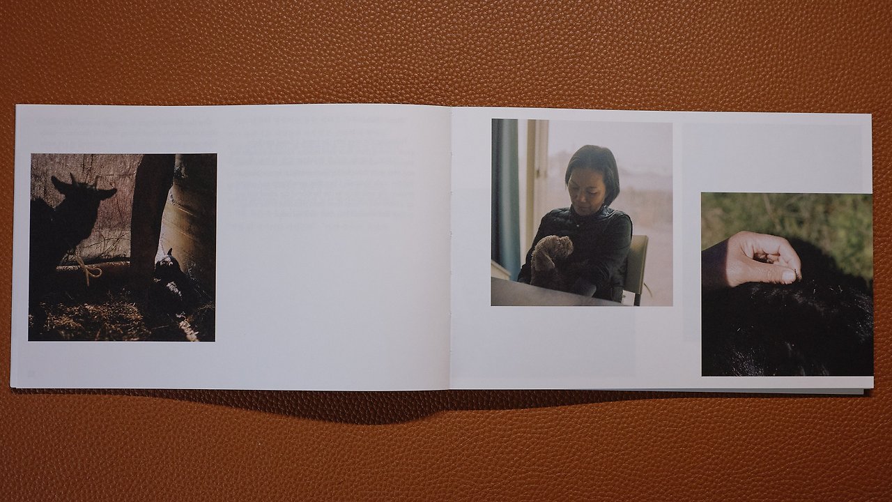 GFX 50R_251109_DSCF7925.jpg