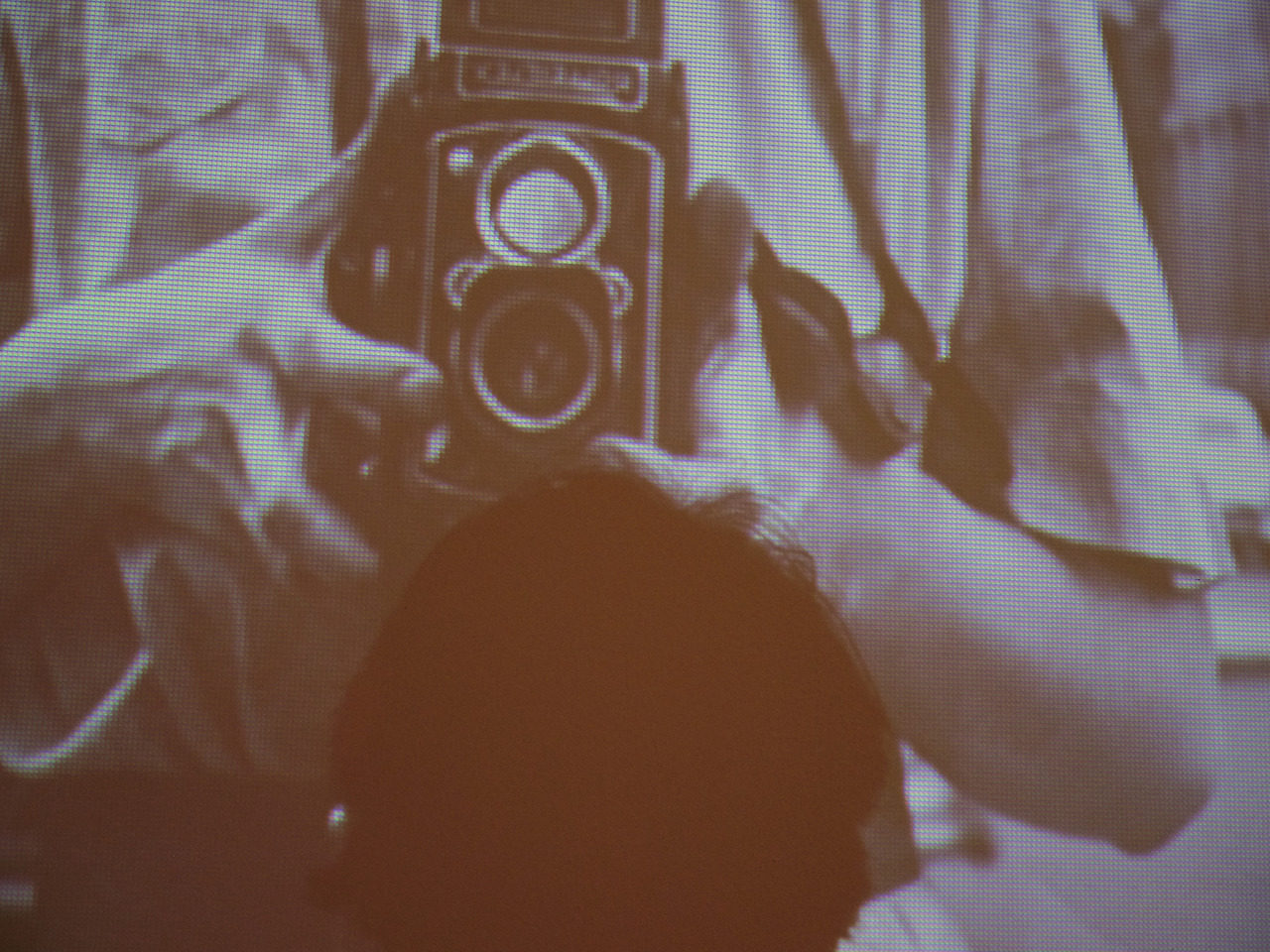 GFX 50R_2021-04-08DSCF1676.jpg