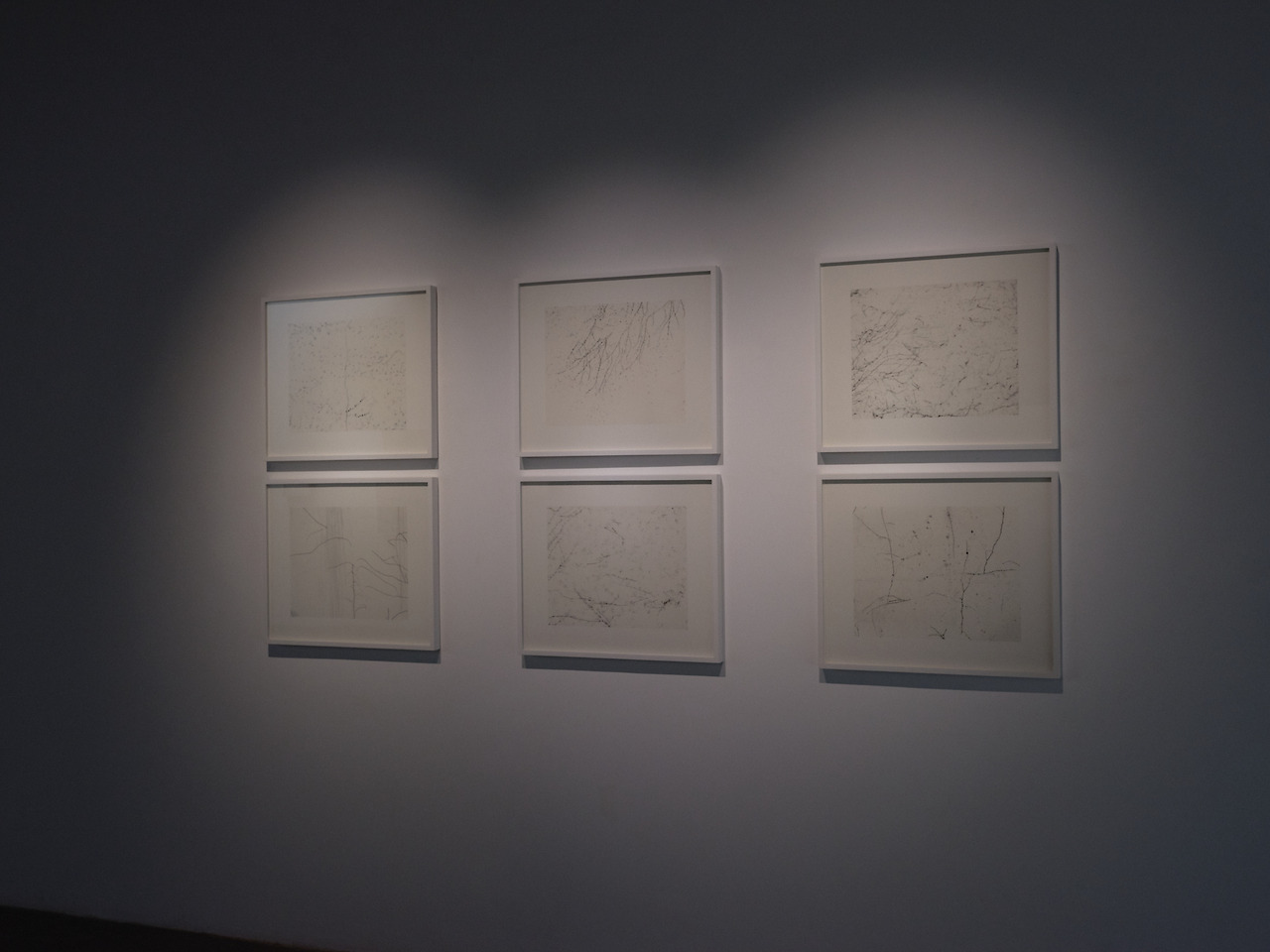 GFX 50R_2021-09-04DSCF2578.jpg