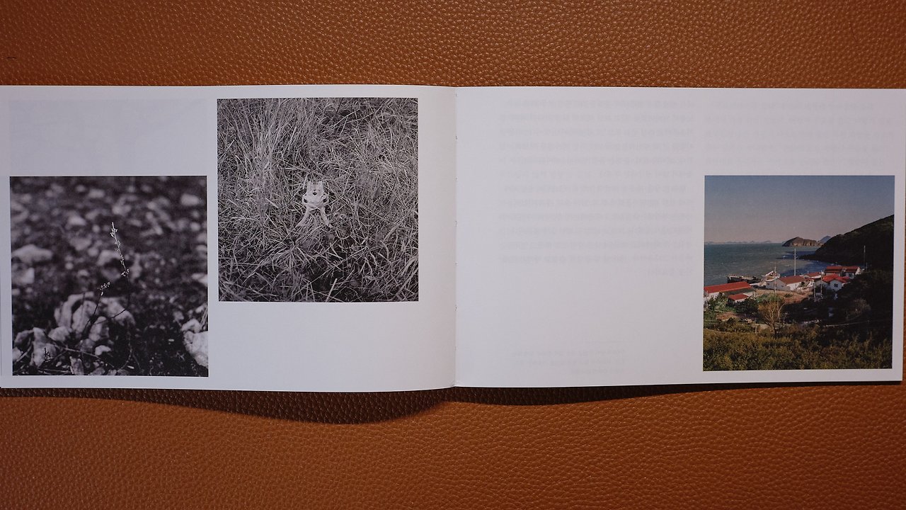 GFX 50R_251109_DSCF7927.jpg