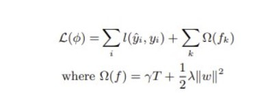 XGboost의 손실함수.jpg