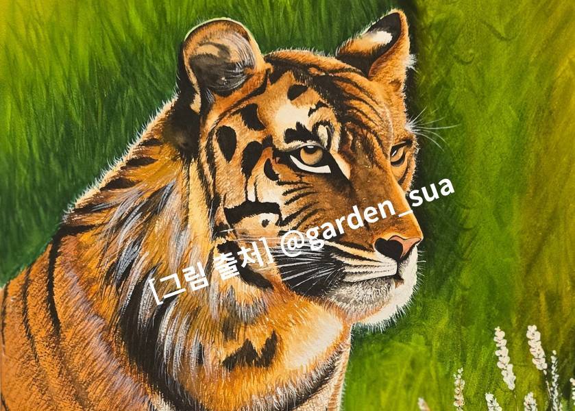 호랑이.jpg