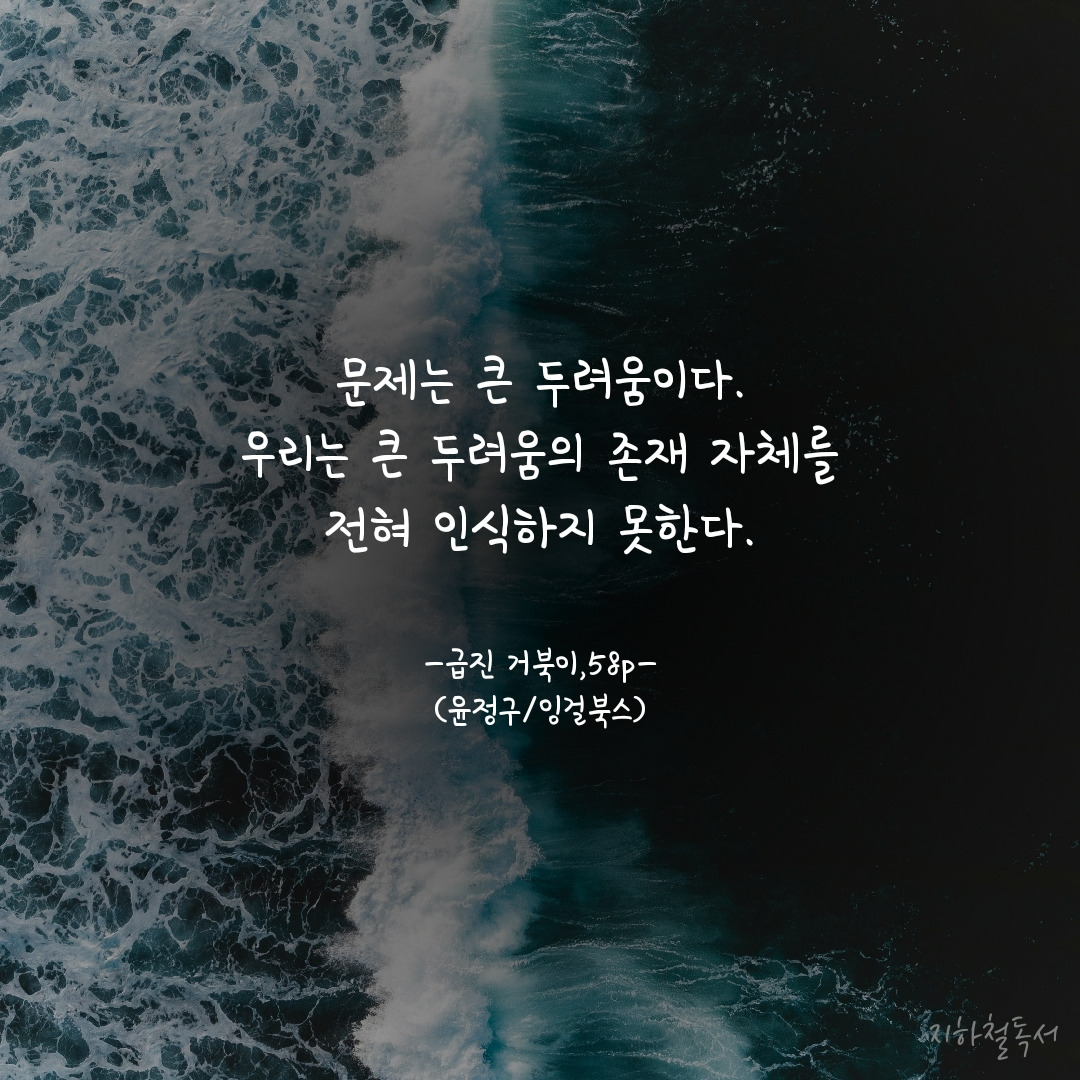 카지노 쿠폰