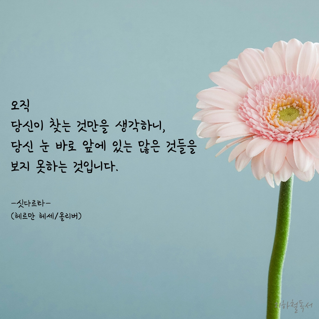 카지노 게임