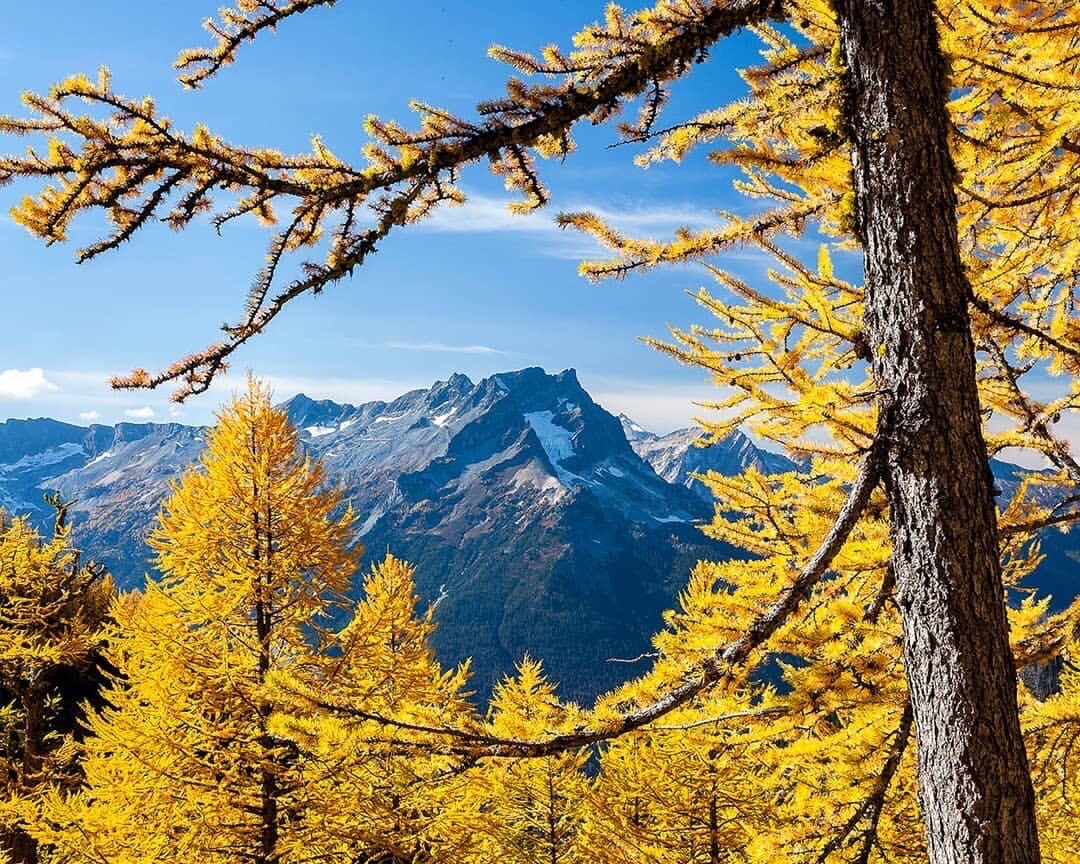 signal-2019-11-08-075256 (1).jpg