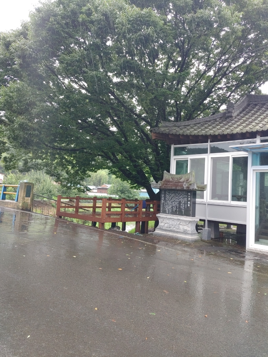 느티나무와 쉼터.jpg