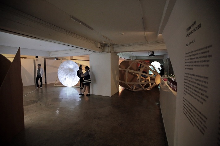 진달래박우혁 (4).jpg