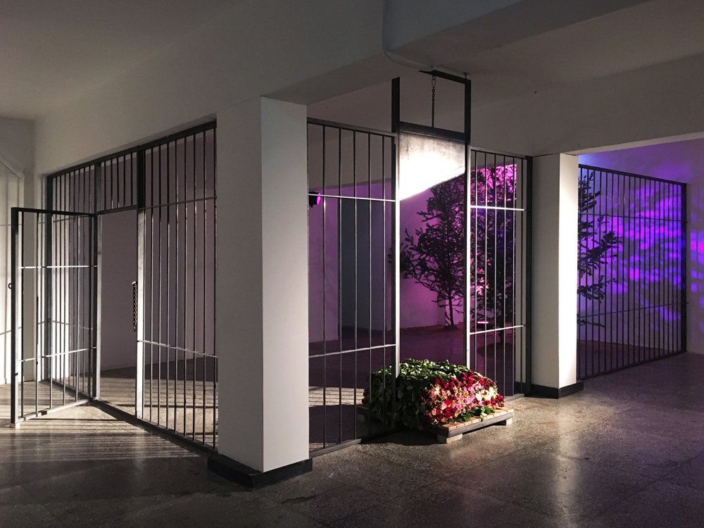 김시하_무대위의 쌍동이.jpg