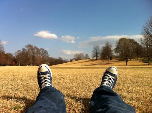 converse-fields.jpg