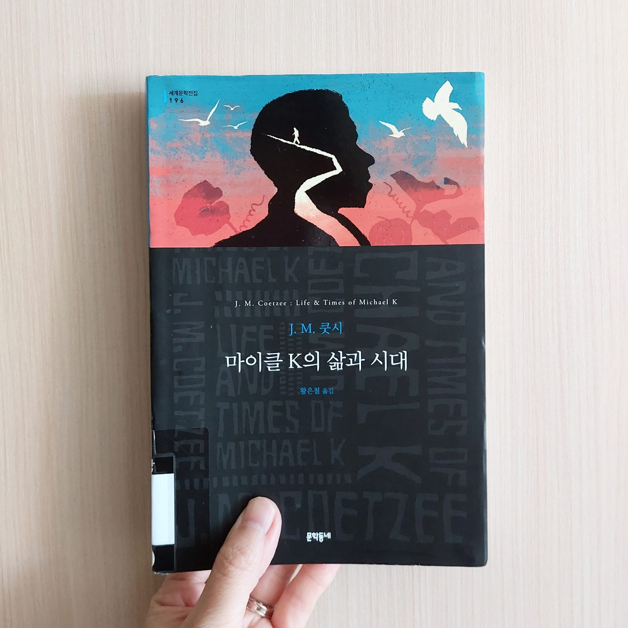 마이클K의 삶과 시대.jpg