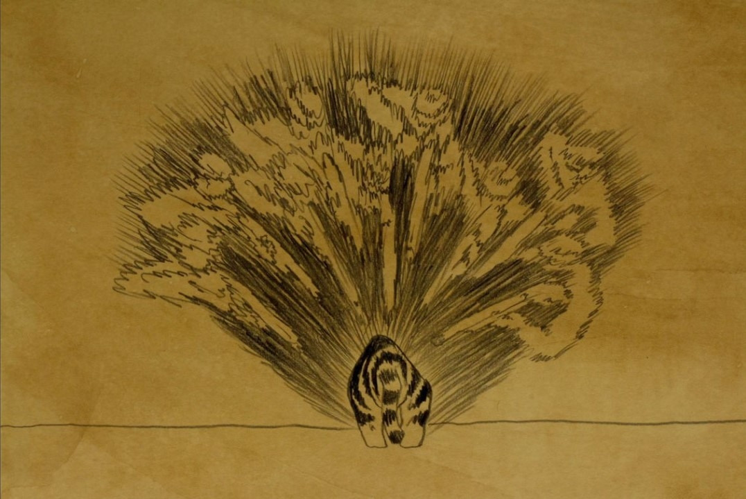 호랑이와 소3.jpg