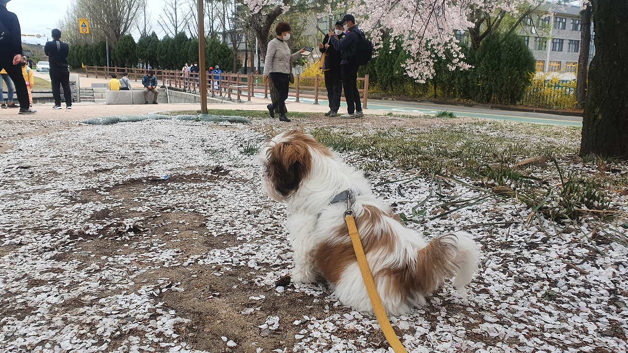 KakaoTalk_20210428_170845315_01 (1).jpg