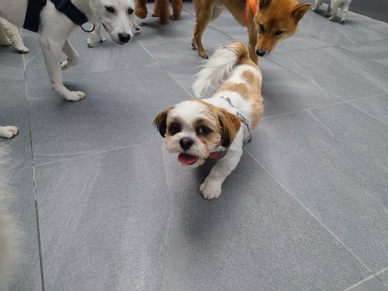 다운로드 (2).jpg