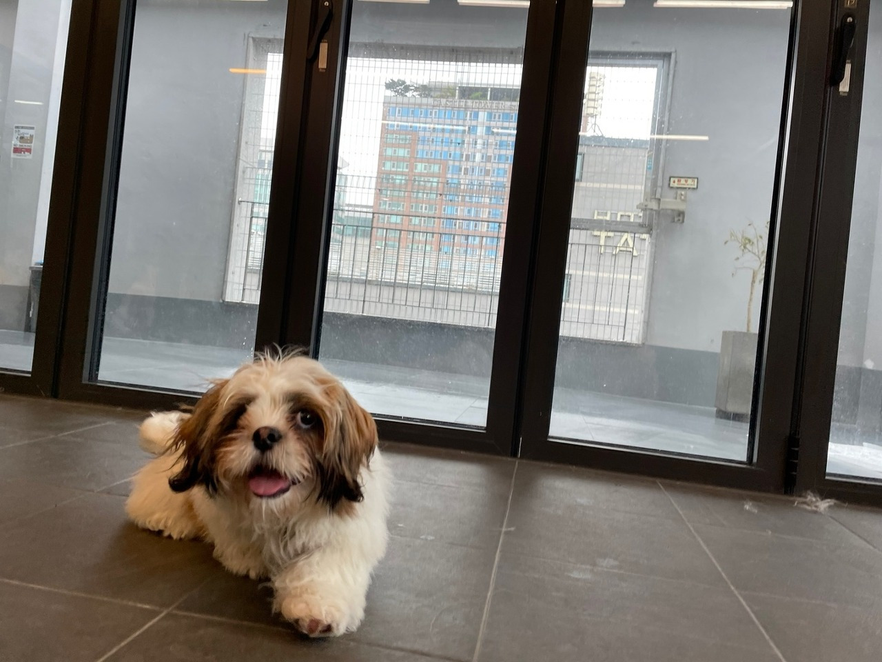 다운로드 (1).jpg