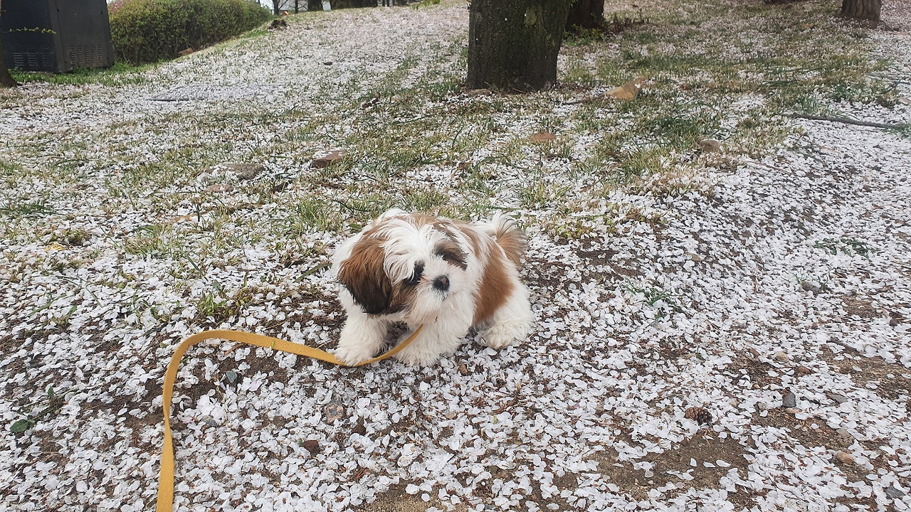 KakaoTalk_20210428_170845315 (1).jpg