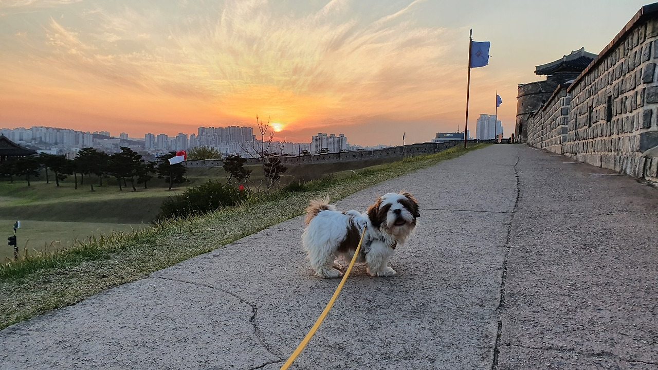 KakaoTalk_20210428_170845315_07 (1).jpg