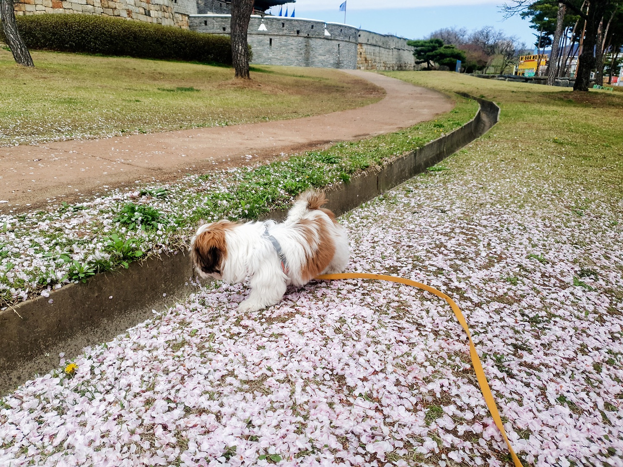 KakaoTalk_20210428_170845315_04 (1).jpg