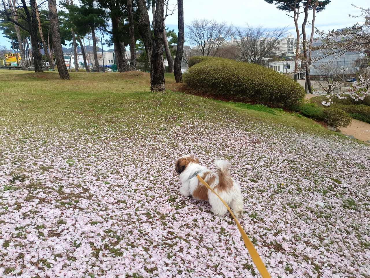 KakaoTalk_20210428_170845315_05 (1).jpg