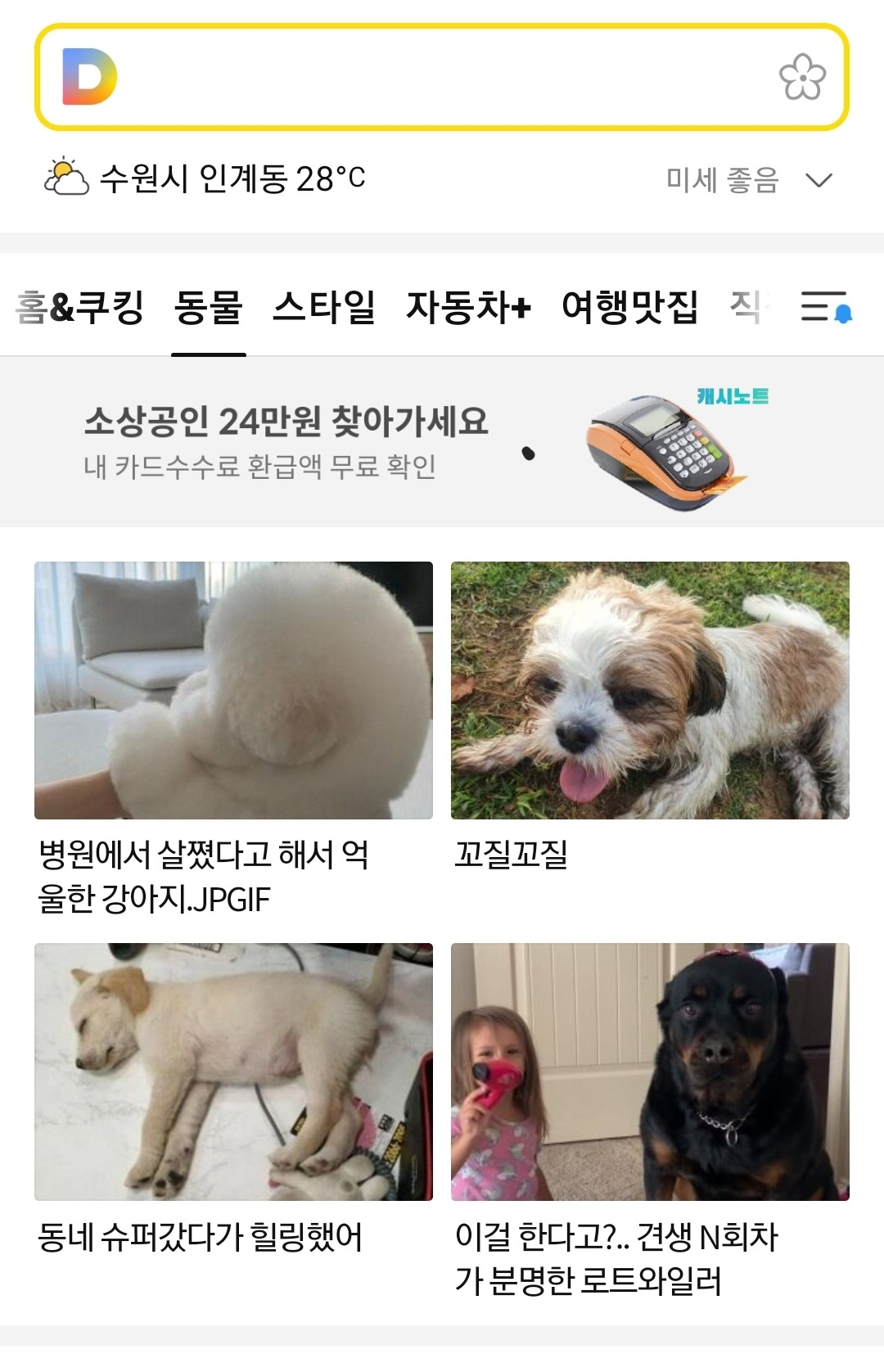 조회수가 10000을 돌파했습니다!