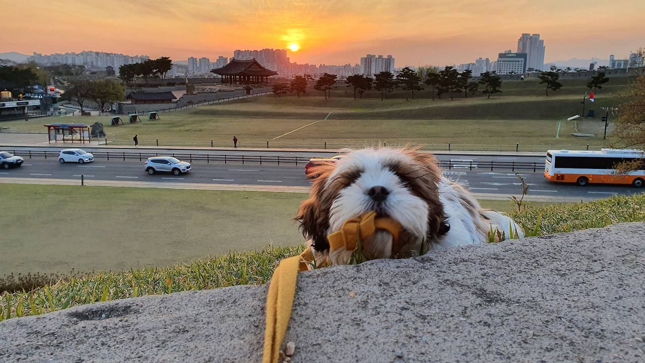 KakaoTalk_20210428_170845315_06 (1).jpg