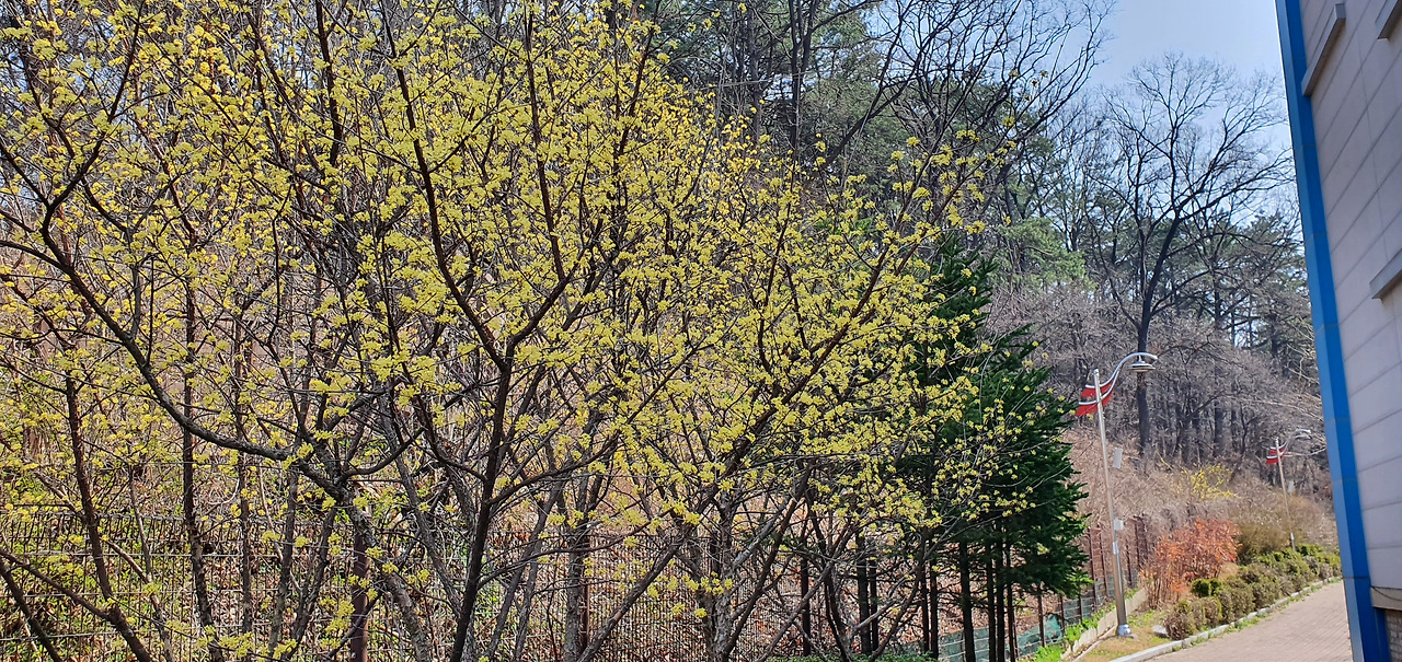 20220405_103926 (1).jpg