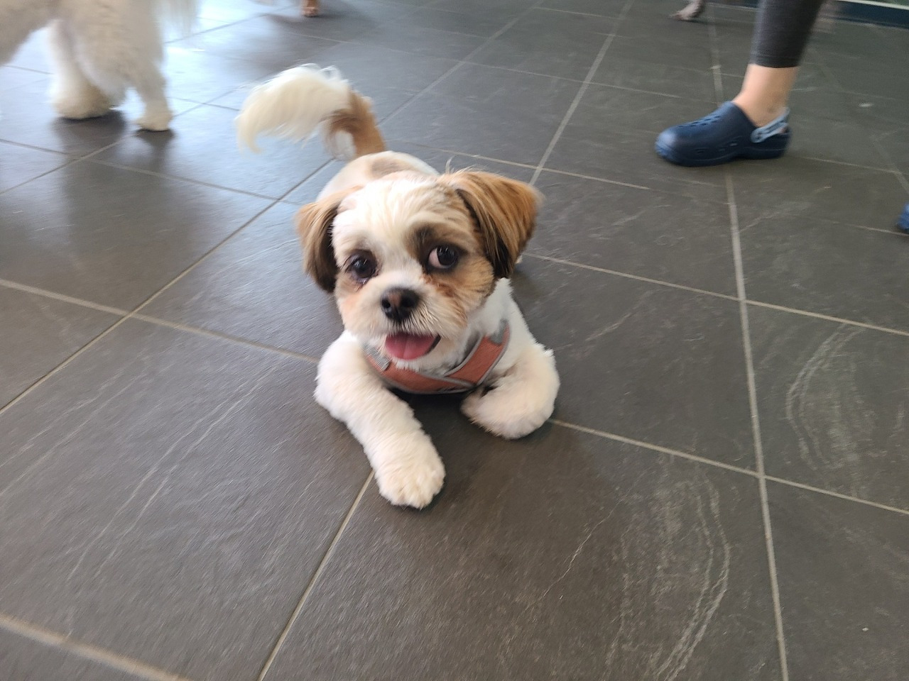 다운로드 (3).jpg