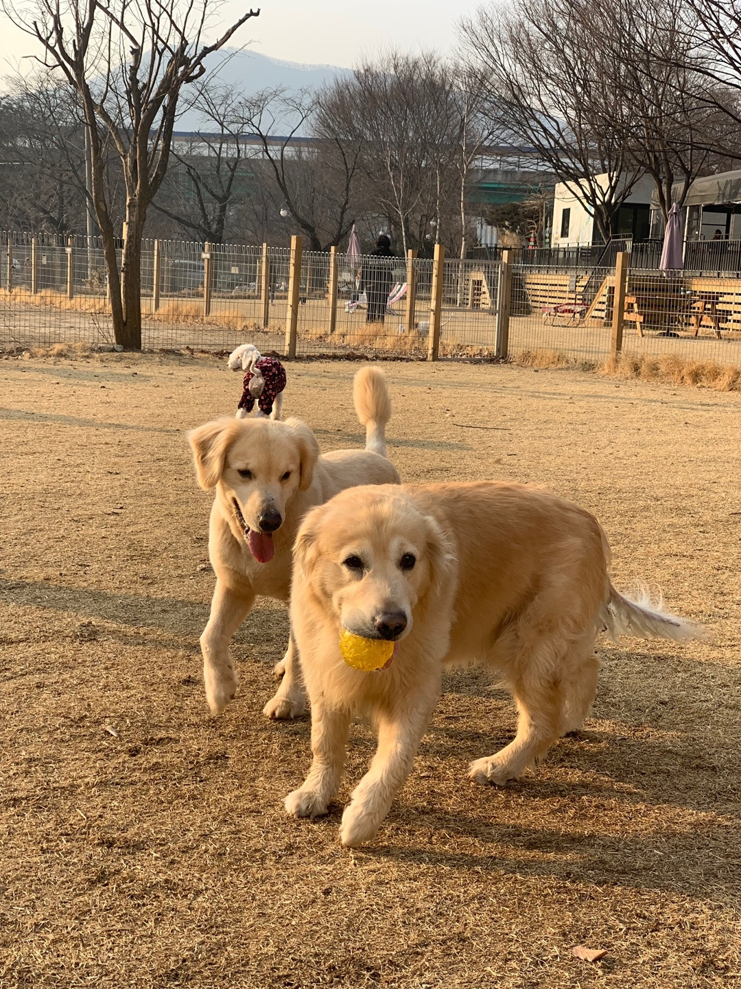 KakaoTalk_20190314_131500279_25.jpg
