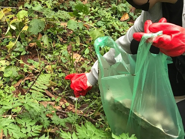 탐험대 사진2.jpg