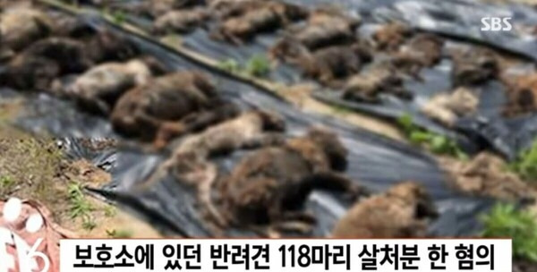 다운로드 (2).jpg