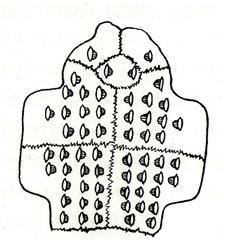 배딱지 뒷면.jpg