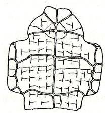 배딱지 앞면.jpg