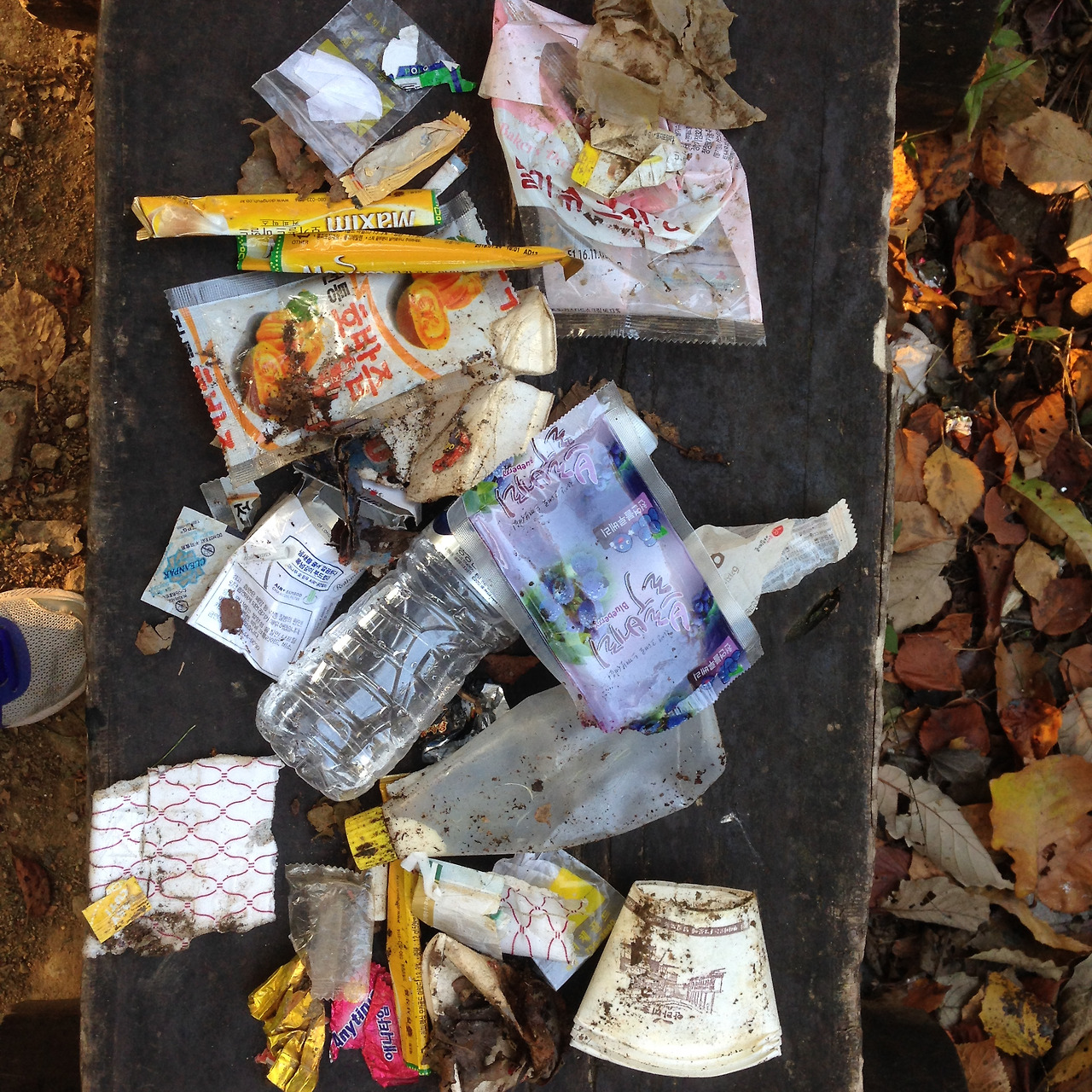 2016-11-03 163837.jpg