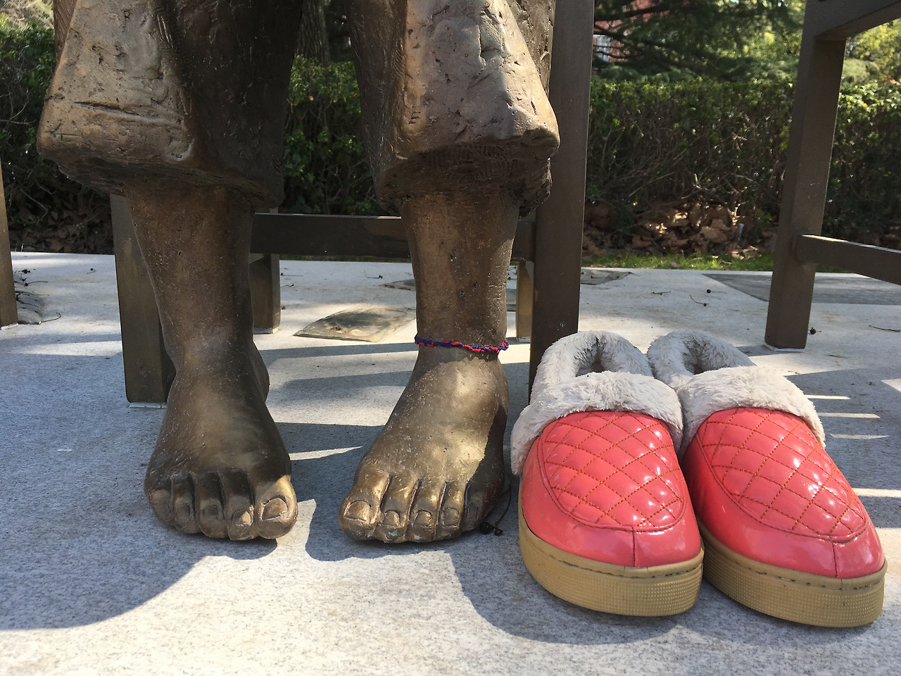 2017-03-07 113246.jpg